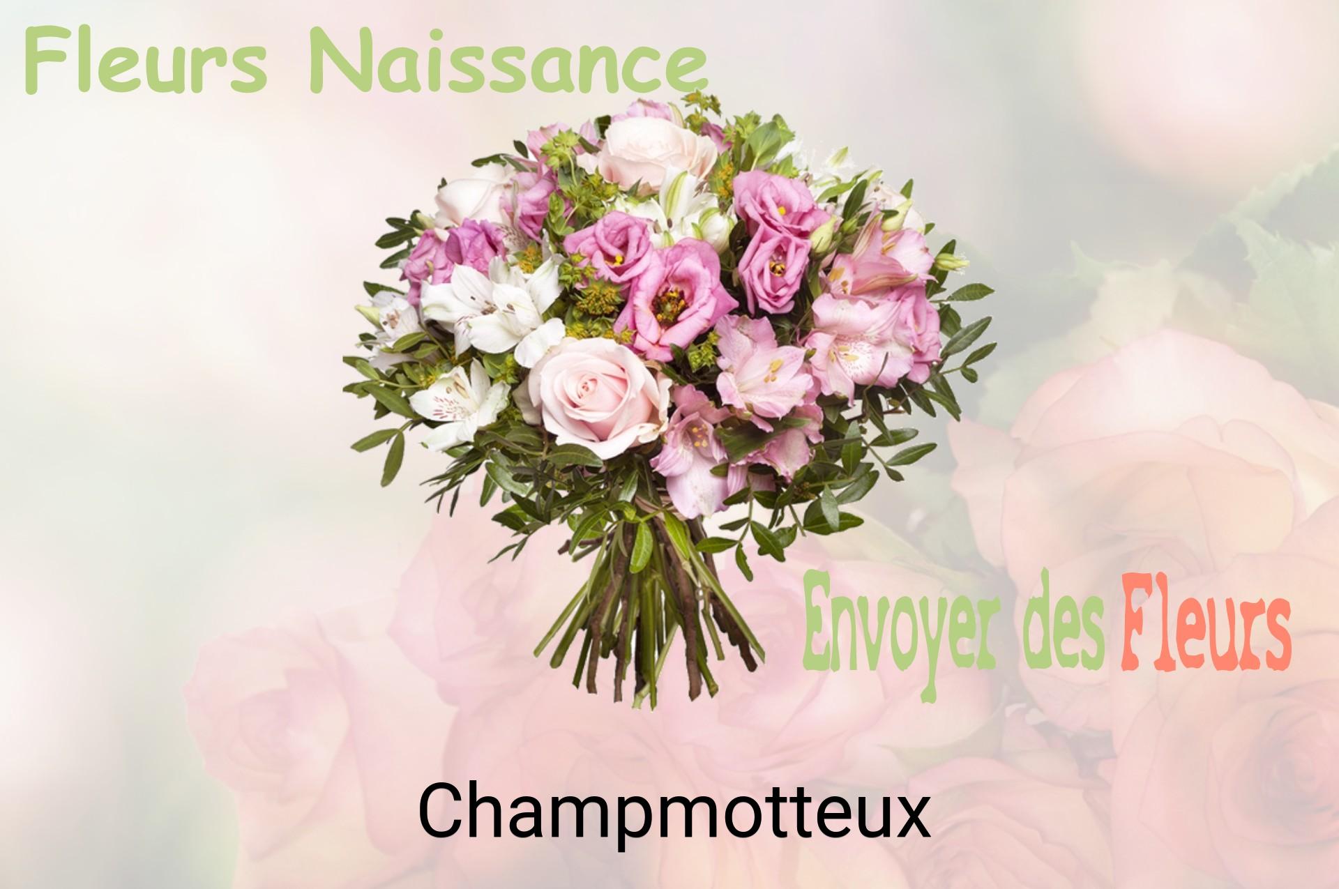 Bouquet de fleurs de naissance livré à Champmotteux